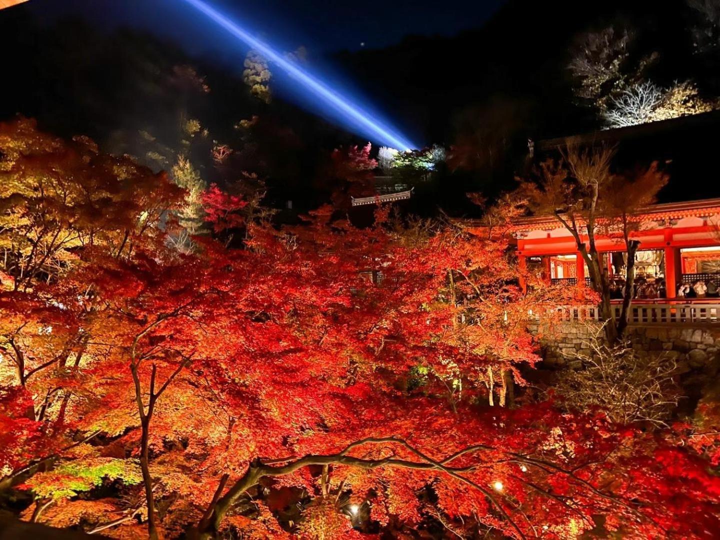 Rinn Gion Kenninji Kyoto Ngoại thất bức ảnh